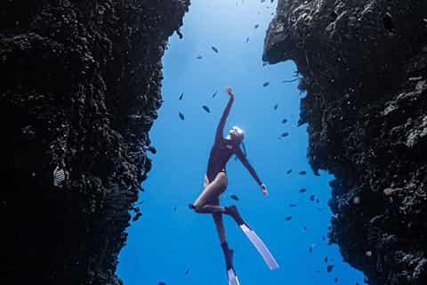 Panglao: Napaling Reef and Sardines Freediving Experience - Image 3