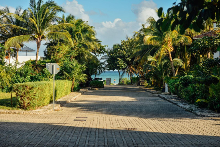 Odisea Cultural de Cancún: Descubriendo la fascinante historia de la ciudad