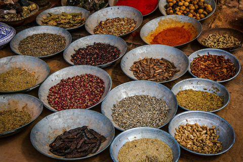 Delhi : visite privée d'une journée ou d'une demi-journée du Vieux Delhi et du New Delhi