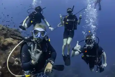 Koh Tao: PADI Premium Open Water Diver-kursus (2,5 dage)