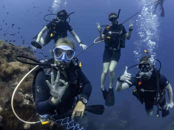 Koh Tao: PADI Premium Open Water Diver Course (2.5 Days)