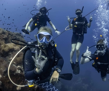 Koh Tao: Curso PADI Premium Open Water Diver (2,5 dias)