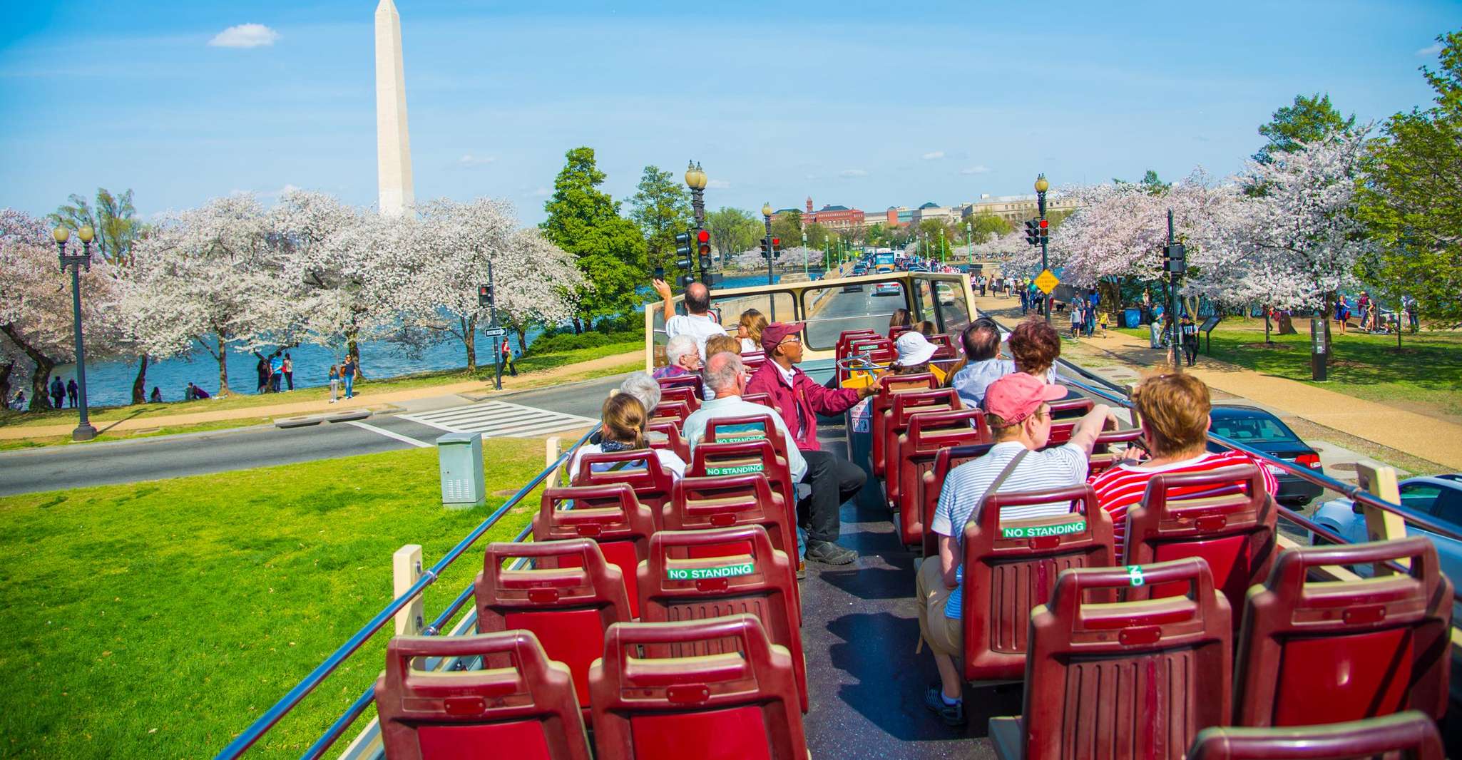 DC: Hop-on Hop-off Sightseeing Tour with Cherry Blossoms