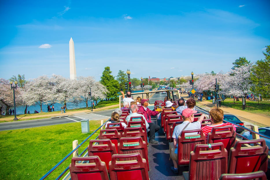DC: Hop-on Hop-off Sightseeing Tour with Cherry Blossoms