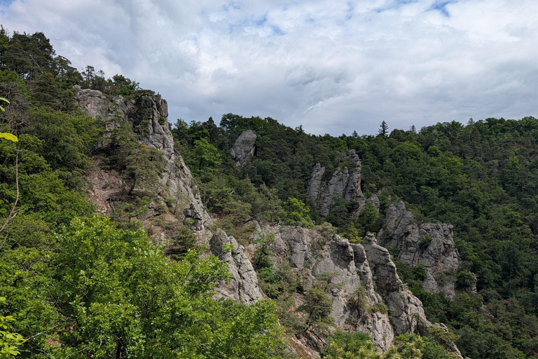 Vienna: Scenic Hiking Tour to Dürnstein/Wachau with Transfer