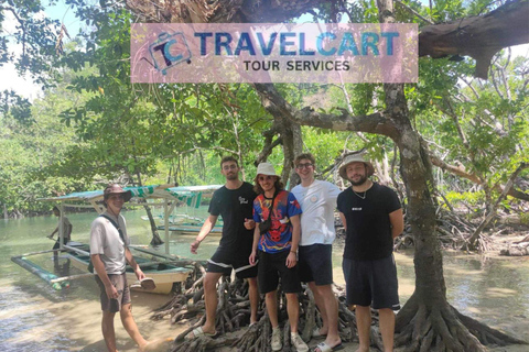 Shared Underground River with Mangrove Paddle Boat & LUNCH