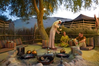 Dubai, Quad Bike Safari, Camels & Al Khayma Camp BBQ Dinner - Housity