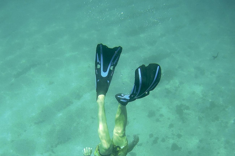 La Herradura: Boat Snorkeling Experience