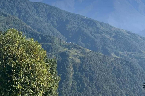 Pokhara: 2-Day Australian Base Camp & Dhampus Trek