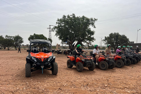Agadir/Taghazout: Buggy, Goats in Argan Trees & Moroccan Tea Agadir: Buggy Adventure, Goats in Argan Trees & Moroccan Tea