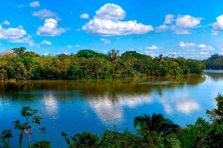 Puerto Maldonado: Tambopata Night Jungle Tour