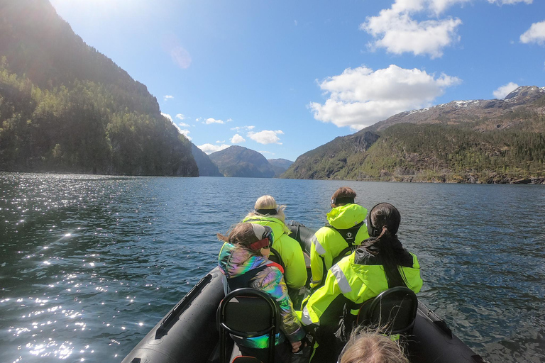 Bergen: Modalen RIB Fjord Safari with Lunch & Transfer