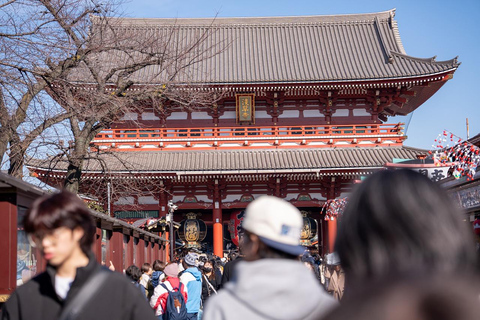 Tokyo: 1-dagars höjdpunkter med privat bil och guide