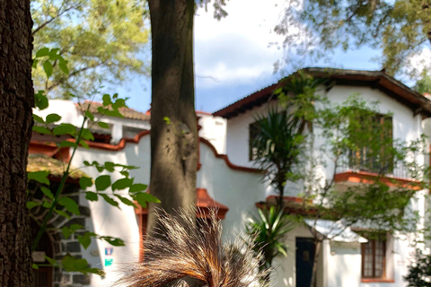 Città del Messico: Tour in bicicletta di Coyoacan con il Museo Frida KahloMuseo Frida Kahlo VIP: Salta la fila, biciclette e churros