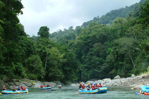 San José: Reventazón River 1-dagars raftingäventyr