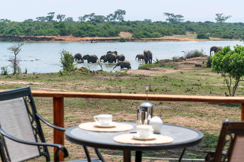Entebbe : Safari de luxe dans le parc national Queen Elizabeth