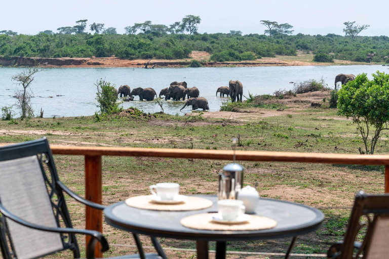 Entebbe : Safari de luxe dans le parc national Queen Elizabeth