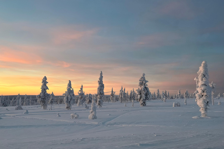 Saariselkä: Private UKK Park Snowshoe Walk & Cowboy Coffee