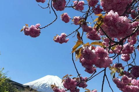 Exclusive Private Tour to Speedway & Mount Fuji with Driver Tokyo Mount Fuji & Hokone Private Itinerary B with Driver