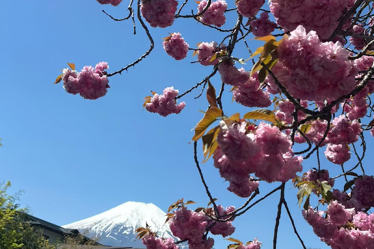 Exclusive Private Tour to Speedway & Mount Fuji with Driver Tokyo Mount Fuji & Hokone Private Itinerary B with Driver