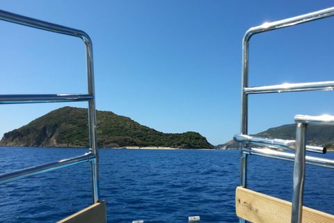 Zakynthos : Excursion des tortues sur l&#039;île de Marathonisi et grottes de Ceri