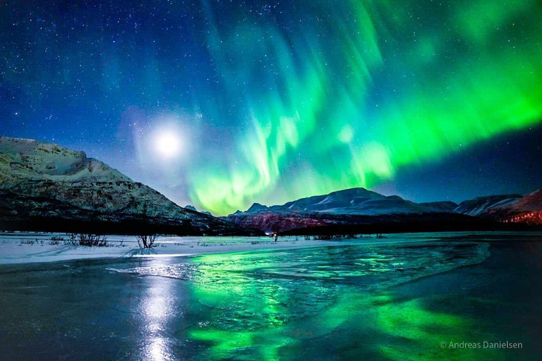 Tromsø: Northern Lights tour with local experts