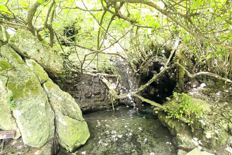 Blue Lagoon (Akamas) Bus & Boat Tour from Paphos