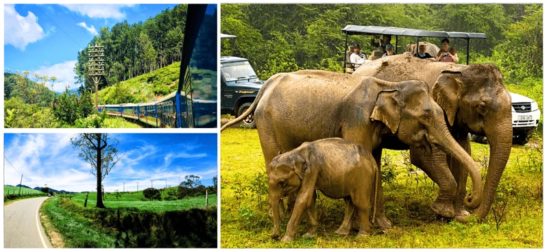 From Western Province: 2-Day Hill Country Highlights Trip