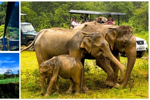 Dieren in het wild in Sri Lanka, schilderachtig heuvelland, strand aan de zuidkust