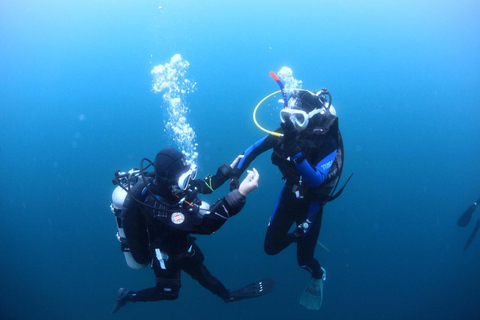 Jeju : expérience de plongée sous-marine près de Seongsan Ilchulbong