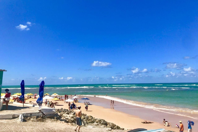 From Salvador: Praia do Forte and Guarajuba Day Trip