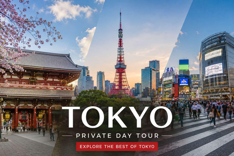 Tokyo: Private Luxury Tokyo City Tour With Driver & Guide Tokyo Private City Tour