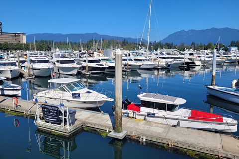 Vancouver Car Tour: See All City Attractions/Save Time&Money