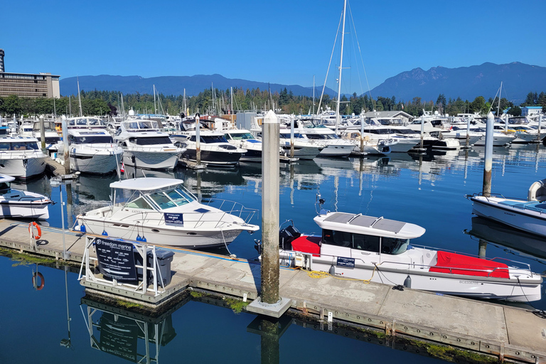 Vancouver Car Tour: See All City Attractions/Save Time&Money