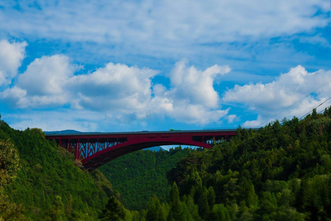 Desde Nagoya: Abraza el Japón rural en el Valle de Kiso y Magome