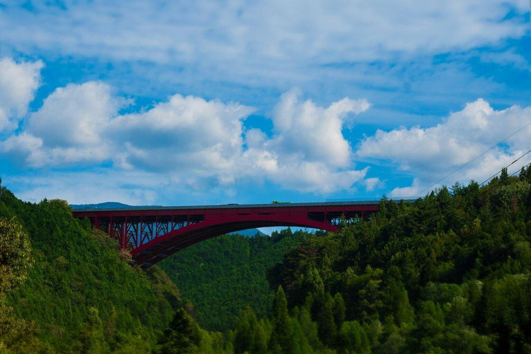 Depuis Nagoya : Découvrez le Japon rural dans la vallée de Kiso et à Magome