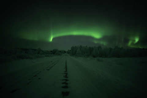 Rovaniemi: Coffee under Northern Lights & Professional Photo