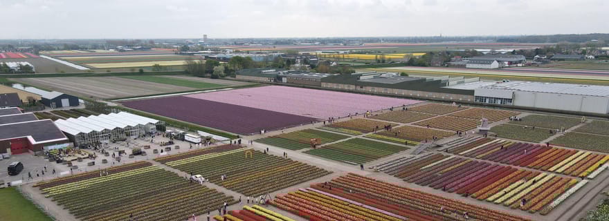 Hillegom : billet d'entrée à la grange aux tulipes