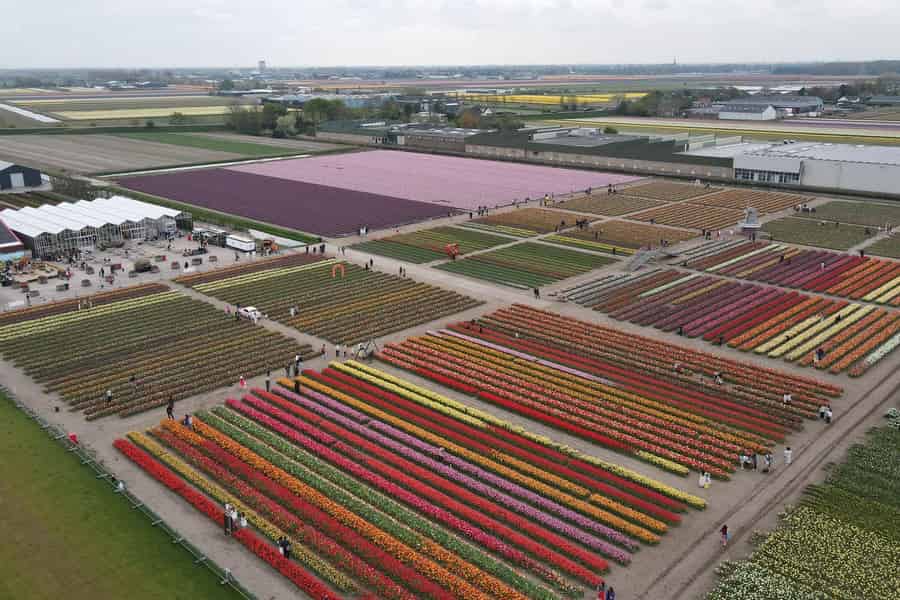 Hillegom: Tulpenscheune Entry Ticket. Foto: GetYourGuide