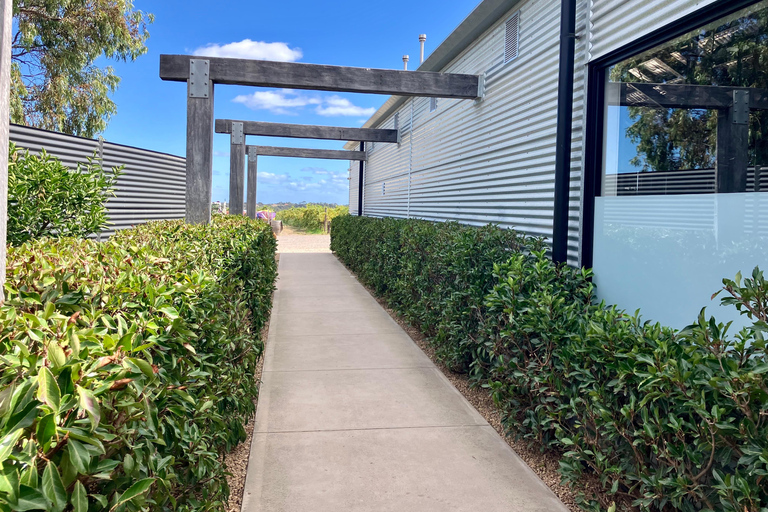 Adelaide: Onkaparinga Gorge Hike, Swim, and Winery Tour