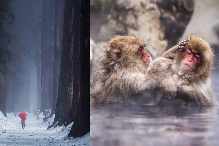 长野：雪猴与戸隠神社一日双景之旅从野泽温泉、妙高和上越地区接送。
