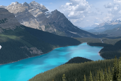 Från Canmore/Banff: Upplevelse av Icefields ParkwayIcefields Parkway: Vår privata upplevelse med signatur