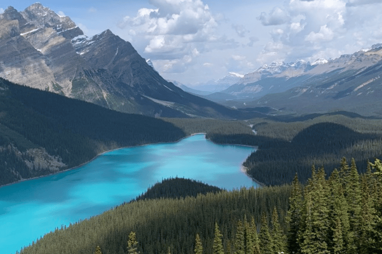 Från Canmore/Banff: Upplevelse av Icefields ParkwayIcefields Parkway: Vår privata upplevelse med signatur