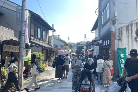 Private tour to Arashiyama and Uji w/Spanish speaking Guide