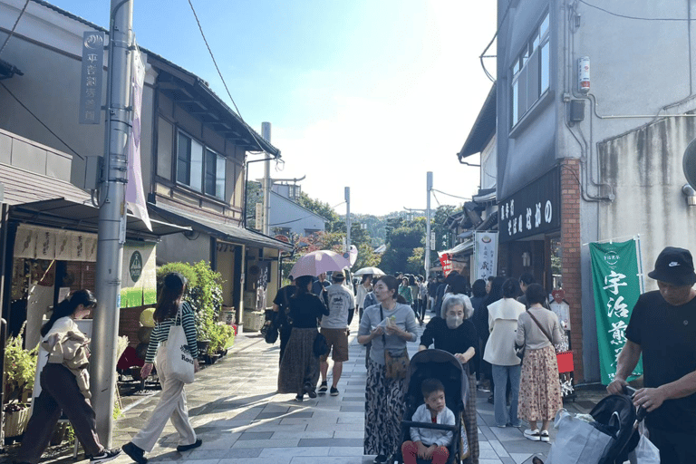 Privat tur till Arashiyama och Uji med spansktalande guide