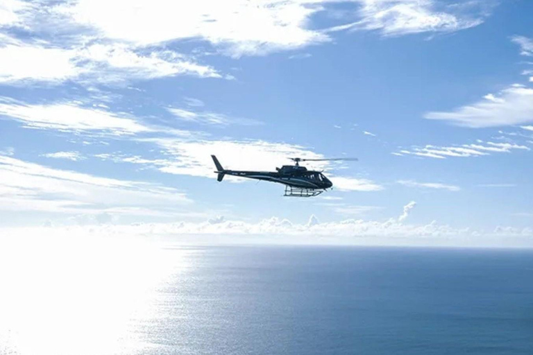 CANNES: Private Panoramic Helicopter Tour Private Tour 45 min Panoramic From CANNES