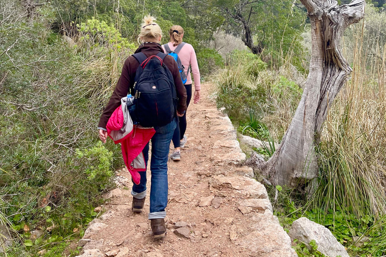 Valldemossa: Miasto i najpiękniejsze punkty widokowe