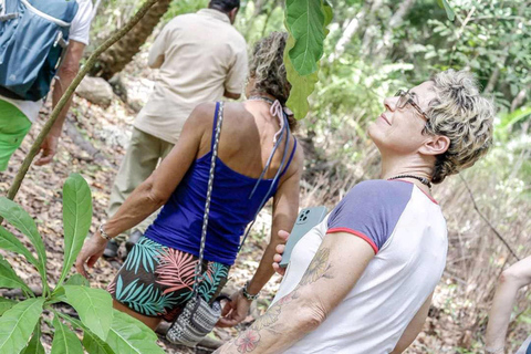 Zanzibar: Jozani Forest, Kuza Cave & Seaweed Farm Tour