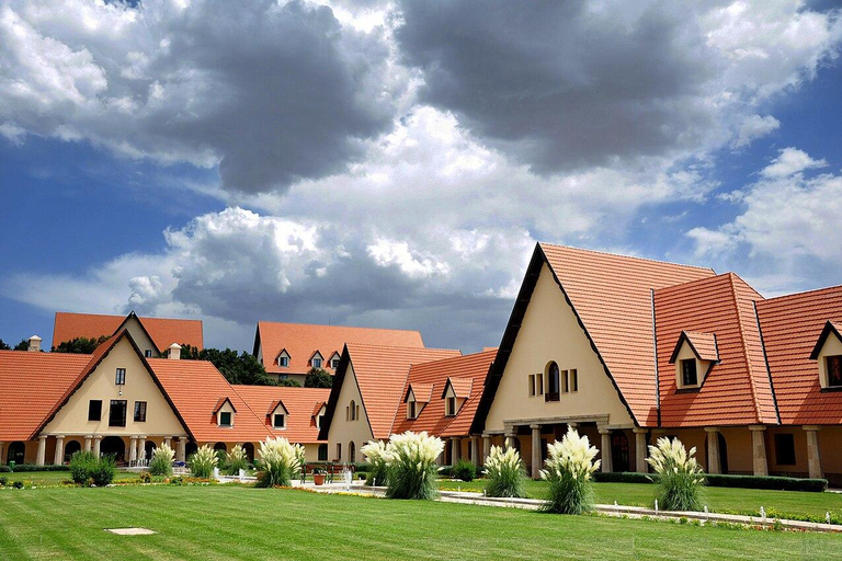 Casablanca : Circuit de 6 jours vers Marrakech via Chefchaouen et le désert