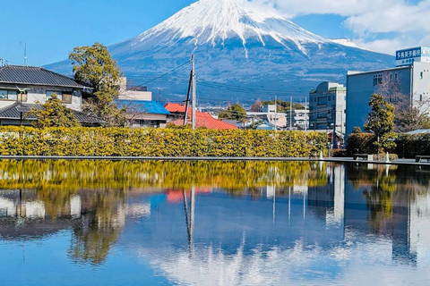 From Tokyo&Yokohama:M.Fuji day trip with Eng speaking driver